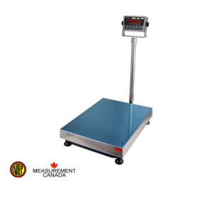 Small image displaying the Anyload TN bench Scale offered by Certified Weighing Systems