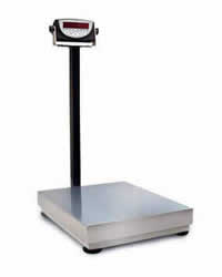 small image diplaying the DIGI® Bench Scale and Indicator Package offered by Certified Weighing Systems