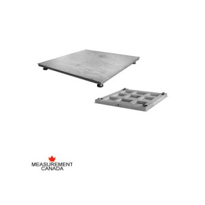 This image displays the Anyload FSP-SS Stainless Steel Floor Scale offered by Certified Weighing Systems