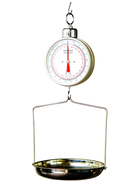 This image displays the Kilotech KHS 1022 Hanging Scale offered by Certified Weighing Systems